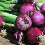 cara makan bawang dayak