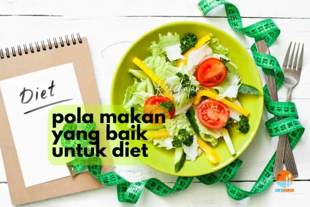 pola makan untuk diet