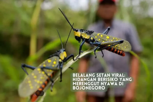 belalang setan viral