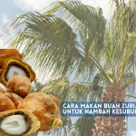 cara makan buah zuriat