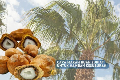 cara makan buah zuriat