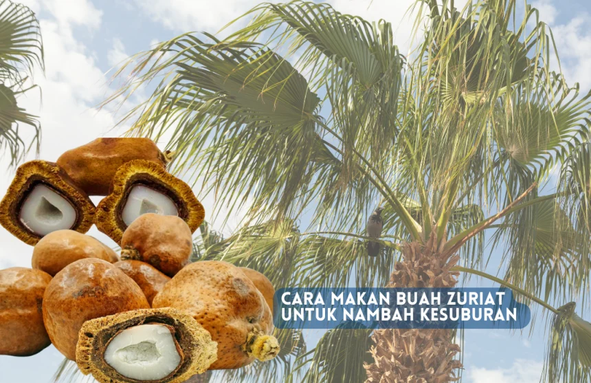 cara makan buah zuriat