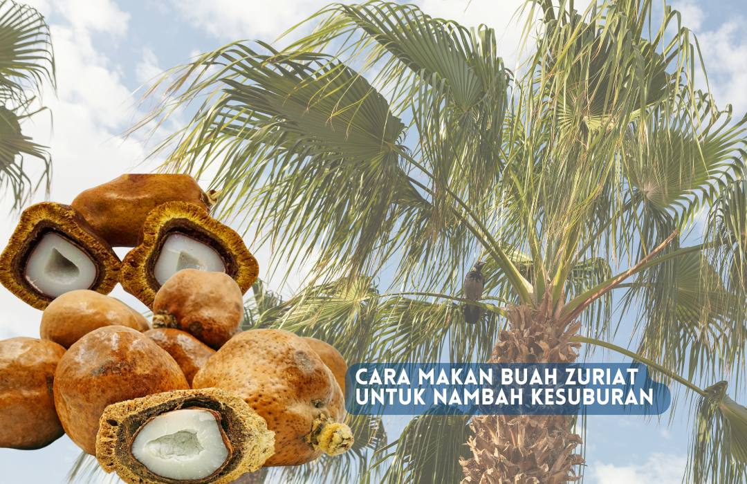 cara makan buah zuriat