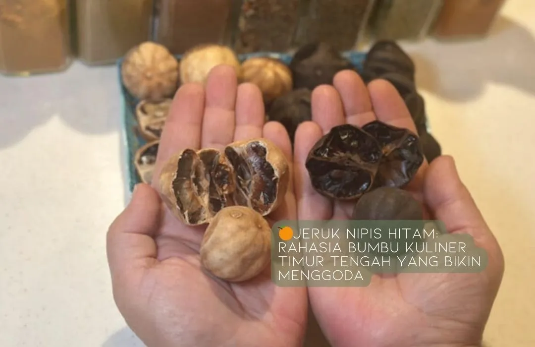 jeruk nipis hitam