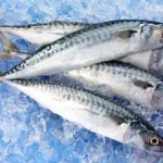 ikan segar