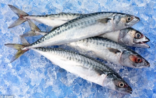 ikan segar