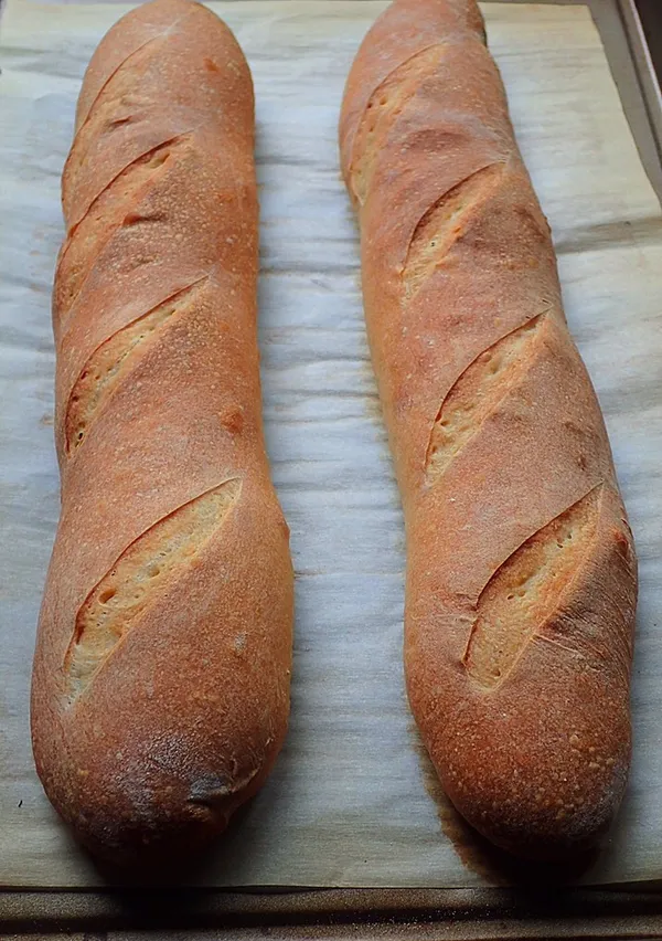 Baguette Sourdough