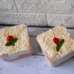stup roti