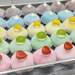 mochi