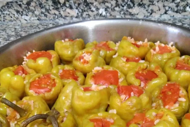 Biber Dolması(Masakan Turki)