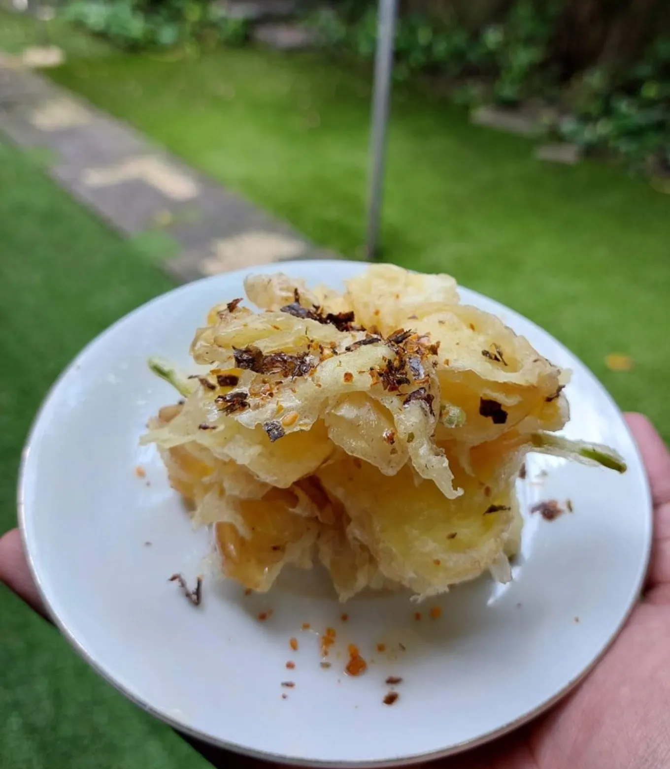 Bunga Kamboja Goreng